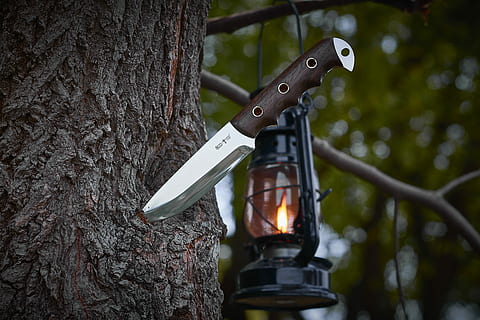 knife, stuck, tree, blade, bark, trunk, lantern, flame, light, lamp, branch, wood, camping, autumn, gas lamp, outdoor, focus on foreground, tree trunk, nature, hanging, no people, close-up, plant, metal, burning, fire, day, lighting equipment, fire - natural phenomenon, heat - temperature, outdoors, security, forest, electric lamp, 5K, CC0, public domain, royalty free
