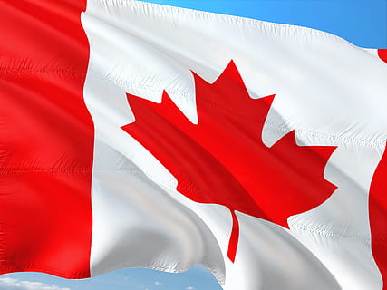 bandera de canadá, internacional, bandera, Canadá, rojo, patriotismo, hoja de arce, el color blanco, hoja, nadie, naturaleza, de cerca, ambiente, viento, emoción, antecedentes, ondulación, al aire libre, fotograma completo, limpiar, 4K