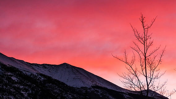 bare, tree, mountain, golden, hour, mountain during sunset, cloud, sky, landscape, nature, sunrise, snow, red, pink, morning, dark, pink sky, canada, albertum, orange, beauty, canmore, rocky, background, sunset, beauty in nature, scenics - nature, silhouette, bare tree, cloud - sky, no people, pink color, tranquility, environment, tranquil scene, plant, dusk, dramatic sky, branch, mountain range, outdoors, romantic sky, 4K, CC0, public domain, royalty free