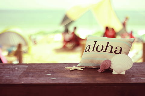 blanc, coixí d'impressió aloha, aloha, imprimir, coixí, platja, estiu, vacances, a l'aire lliure, material de fusta, taula, mar, primer pla, cap gent, dia, text, comunicació, guió occidental, centrar-se en primer pla, menjar i beguda, naturalesa, signe, frescor, còpia espai, menjar, missatge, paper, enfocament selectiu, flor, 1080P, CC0, domini públic, lliure de regalies