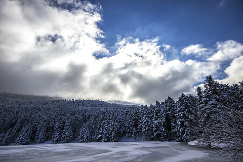 青空, 雲, コールド, 森林, 凍った湖, 湖, 空, 雪, 木, 冬, 自然, 風景, 霜, 寒い - 気温, シーズン, 屋外, モミの木, クリスマス, 青, 山, 天気, 景観, 白, 氷, 雲 - 空, 工場, 寒い気温, 自然の美しさ, 無人, 静けさ, 日, 静かな情景, 土地, 風景 - 自然, 環境, 松の木, 針葉樹, 1080P