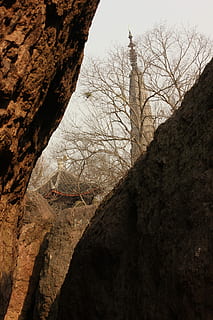 tårn, sten-, træ, bare træ, rock-objekt, ingen mennesker, tekstureret, natur, træstamme, plante, afdeling, bagagerum, lav vinkel visning, himmel, klippe, dag, rock formation, arkitektur, ro, udendørs, bygget struktur, solid, 5K, CC0, offentligt domæne, royaltyfrie