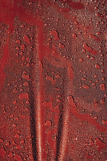 apă, picături, roșu, capotă, gri, textil, textură, model, picăturii, umed, suprafaţă, ploaie, apos, picătură de ploaie, rojo, față de masă, cădere brusca, cadru complet, fundaluri, nici o persoana, a închide, texturată, zi, natură, în interior, sticlă - material, fereastră, vedere în unghi mare, artă și sculptură, lumina soarelui, 5K, CC0, domeniu public, fără drepturi de autor