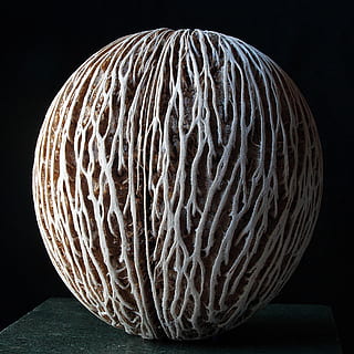 seme, logoro, Linee, vicino, macro, ombra, struttura, sfondo nero, nessuno, notte, avvicinamento, in casa, girato in studio, scienza, mangiare sano, strutturato, modello, forma, modello naturale, cerchio, natura, singolo oggetto, cibo, cibo e bevande, forma geometrica, verdura, sfera, natura morta, complessità, microscopio, marino, 2K, CC0, dominio pubblico, privo di copyright