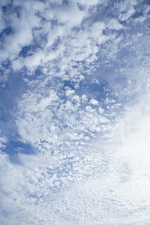 himlen, skyerne, skyer, sky - himmel, himmel, skønhed i naturen, scenics - natur, ro, rolig scene, baggrunde, natur, lav vinkel visning, hvid farve, ingen mennesker, dag, fuld ramme, idyllisk, cloudscape, udendørs, blå, miljø, meteorologi, 4K, CC0, offentligt domæne, royaltyfrie