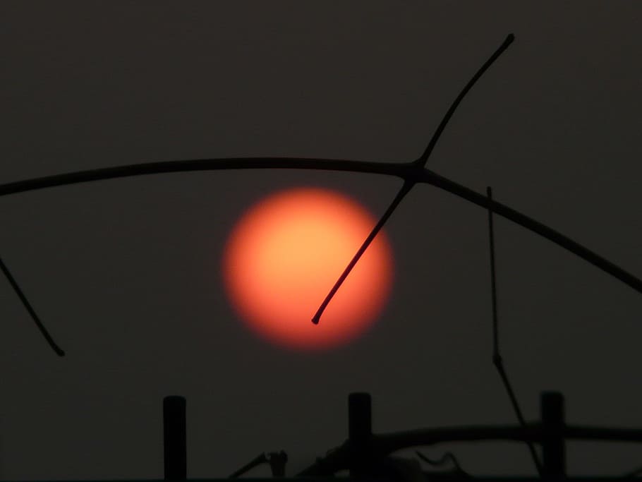 sol, vermell, configuració, trist, humor, fosc, sol, vermell, la fi del món, tanca, capturat, gris, perdut, sortir, cel, kahl, planeta, nit, silueta, posta de sol, color negre, vespre, electricitat, cap gent, vista, bellesa a la natura, naturalesa, color taronja, medi ambient, a l'aire lliure, turbina, generació de combustible i energia, tecnologia, energia renovable, vista d’angle baix, llum solar, conservació del medi ambient, aerogenerador, espai, cercle, 2K