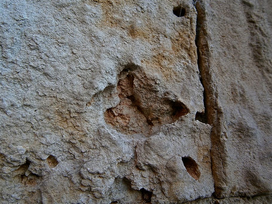 struktur, sten-, væg, sandsten, erosion, abstrakt, figurativ, ingen mennesker, tekstureret, arkitektur, baggrunde, gammel, murbygningsfunktion, fuld ramme, bygget struktur, tæt på, dag, forvitret, ru, udendørs, historie, beskadiget, mønster, metal, bygning udvendig, lav vinkel visning, 4K