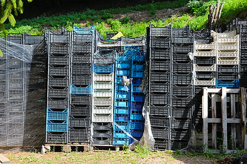 engradados, caixas de maçã, caixas de vinho, pilha, estoque, desordem, colheita, weinlese, depósito de armazenamento, plantar, ninguém, dia, natureza, arquitetura, terra, grande grupo de objetos, árvore, ao ar livre, estrutura construída, recipiente, palete, madeira - material, construção, abundância, arranjo, sala doméstica, campo, transporte, indústria pesqueira, 5K, CC0, domínio público, royalty free