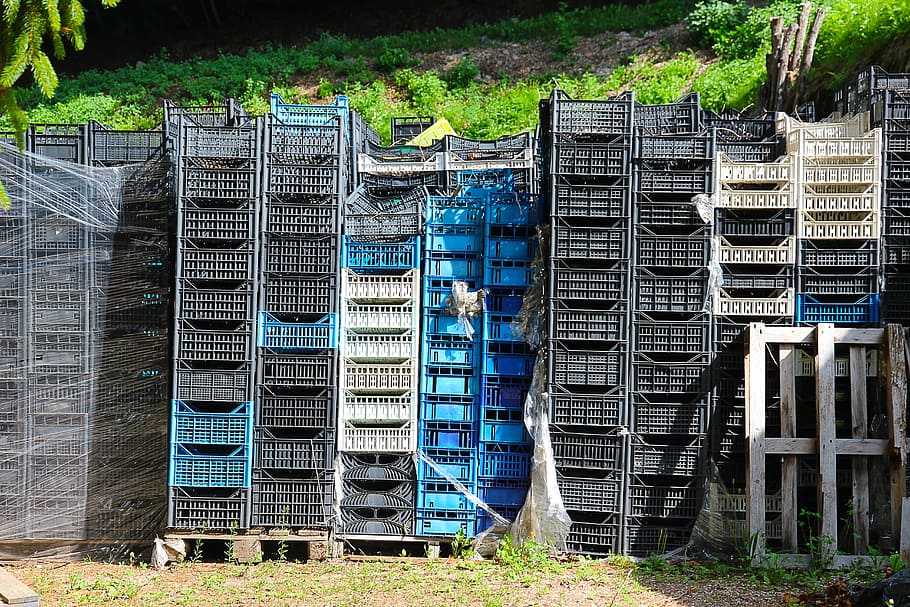 casse, casse di mele, scatole di vino, pila, azione, ingombrare, guazzabuglio, raccogliere, Weinlese, scomparto di stoccaggio, pianta, nessuno, giorno, natura, architettura, terra, grande gruppo di oggetti, albero, all'aperto, struttura costruita, contenitore, pallet, legno - materiale, costruzione, abbondanza, preparativi, stanza domestica, campo, mezzi di trasporto, industria ittica, 5K