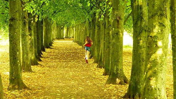 trees, running, nature, forest, outdoors, beautiful, healthy, runner, alley, tree, full length, plant, one person, green color, lifestyles, walking, real people, women, leisure activity, day, casual clothing, tree trunk, trunk, footpath, rear view, growth, sunlight, diminishing perspective, bamboo - plant, 4K, CC0, public domain, royalty free