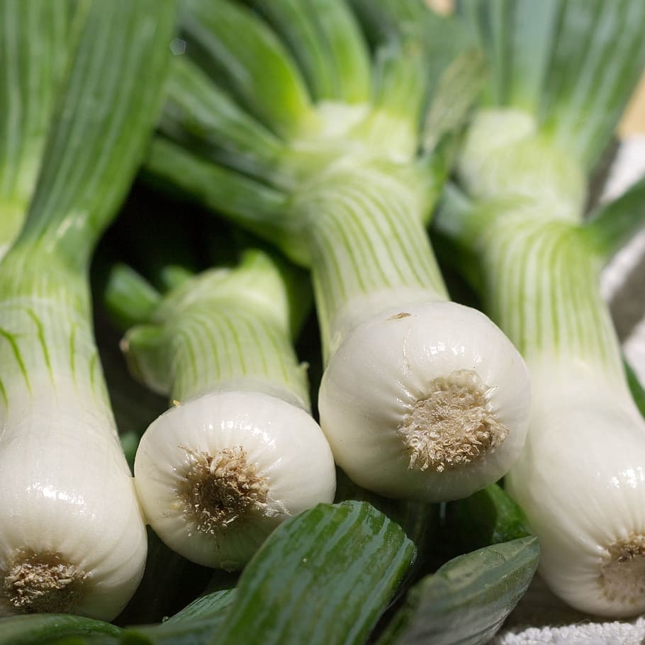 ceba, ceba tendra, primavera, verd, menjar, saludable, vegetals, amanida, vegetarià, fresc, dieta, ingredient, nutrició, orgànic, natural, frescor, jove, cebolleta, menjar i beguda, alimentació saludable, color verd, benestar, primer pla, cap gent, natura morta, marc complet, fons, aliments crus, venda al detall, gran grup d'objectes, a la venda, mercat, 1080P