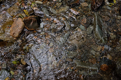 fluente, acqua, rocce, giorno, fiume, ruscello, flusso, roccia, strutturato, nessuno, solido, ruvido, natura, roccia - oggetto, fotogramma intero, avvicinamento, all'aperto, sfondi, crescita, modello, albero, tronco d'albero, tronco, formazione rocciosa, acqua corrente, effetto strutturato, 4K, CC0, dominio pubblico, privo di copyright
