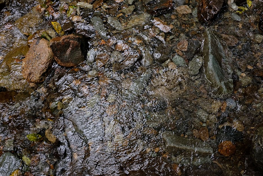 fluente, acqua, rocce, giorno, fiume, ruscello, flusso, roccia, strutturato, nessuno, solido, ruvido, natura, roccia - oggetto, fotogramma intero, avvicinamento, all'aperto, sfondi, crescita, modello, albero, tronco d'albero, tronco, formazione rocciosa, acqua corrente, effetto strutturato, 4K