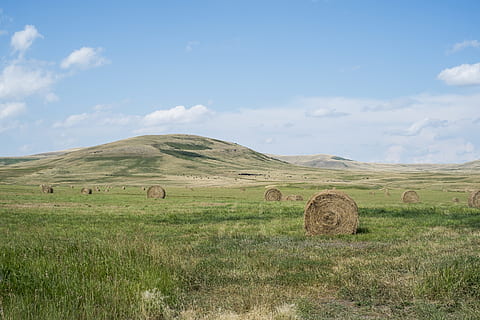 hay stocks, grassland, hay bale lot, field, green green, mountains, blue sky, day, time, hay, meadow, haystack, hayfield, bale, agriculture, rural Scene, nature, landscape, farm, summer, sky, outdoors, scenics, grass, non-Urban Scene, blue, no People, cloud - Sky, straw, landscaped, land, environment, plant, tranquil scene, scenics - nature, tranquility, beauty in nature, horizon, 4K, CC0, public domain, royalty free