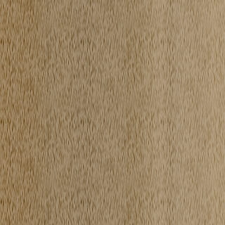 antecedentes, fondo, estructura, marrón, resumen, modelo, textura, papel, doblez, texturizado, grano de madera, efecto texturizado, de cerca, paneles de madera, fotograma completo, material, nadie, madera, material de madera, piso, macro, copia espacio, naturaleza, nivel de la superficie, árbol, antiguo, blanco, suelos de parquet, 2K, CC0, dominio público, libre de derechos