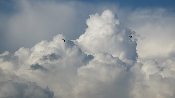 Foto, zwei, fliegend, Vögel, Wolken, Sturm, dunkle Wolken, Natur, Regen, Nach dem Sturm, Landschaft, vor dem Sturm, Die Sonne, Textur, Wind, Wolkendecke, Sturmwolken, Himmel, Aussicht, der Hintergrund, Aura, Blau, Hagel, Blitz, wolke - himmel, Vogel, Tierthemen, Tier, Wirbeltier, Tierwelt, Tiere in freier Wildbahn, ein Tier, keine Leute, Schönheit in der Natur, draußen, Flugzeug, Luftfahrzeug, in der Luft, Flachwinkelansicht, Tag, Transport, Ebene, 4K, CC0, gemeinfrei, lizenzfrei