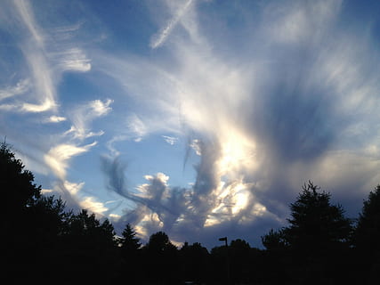 clouds, sky, nature, abstract, cloudscape, high, sunlight, cloud - sky, tree, plant, beauty in nature, low angle view, silhouette, tranquility, scenics - nature, tranquil scene, no people, sunbeam, day, outdoors, growth, treetop, dramatic sky, coniferous tree, 2K, CC0, public domain, royalty free