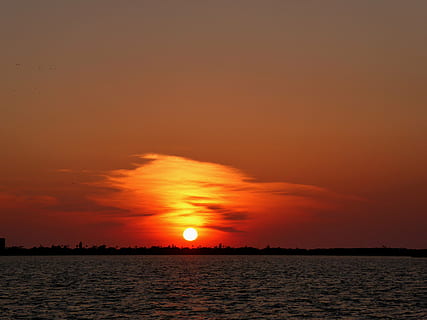 apus de soare, florida, apă, plajă, ocean, coastă, dafin, peisaj, colorat, cer, scenice - natura, frumusețe în natură, mare, soare, o scenă liniștită, culoare portocalie, liniște, nor - cer, dramatic cer, natură, siluetă, idilic, nici o persoana, orizont, orizontul peste apă, peisaj marin, în aer liber, cerul romantic, 4K, CC0, domeniu public, fără drepturi de autor