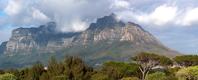 table table, panoramico, il culmine del diavolo, contrafforte, lato est, contrafforti orientali, luce del mattino, Città del Capo, viaggio, Sud Africa, cielo, natura, montagna, nuvola - cielo, scenics - natura, paesaggio, ambiente, albero, bellezza nella natura, terra, roccia - oggetto, roccia, pianta, destinazioni di viaggio, solido, catena montuosa, nessuno, all'aperto, picco di montagna, albero di conifere, Pino, bosco di pini, 5K, CC0, dominio pubblico, privo di copyright