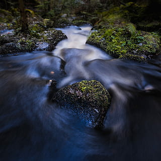 fotografia de lapse de temps, cascades, rocós, corrent, aigua, riu, herba, fulles, rock, reserva, naturalesa, parc, nacional, Anglaterra, districte, pic, exposició, llarg, moviment, moviment borrós, rock - object, bellesa a la natura, sòlid, exposició llarga, escenics - natura, planta, molsa, terra, bosc, aigua que flueix, arbre, dia, que flueix, cascada, cap gent, a l'aire lliure, rierol: aigua que flueix, poder a la natura, caient aigua, 4K, CC0, domini públic, lliure de regalies