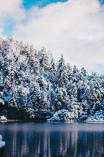Wald, bedeckt, Schnee, Bäume, Bergfotografie, Wolke, Winter, kalt, See, Reflexion, Wasser, Blau, Patagonium, Baum, schneebedeckt, kalte Temperatur, Schönheit in der Natur, Pflanze, Ruhe, ruhige Szene, Szenen - Natur, Himmel, Natur, keine Leute, wolke - himmel, Tag, Nicht-städtische Szene, Ufergegend, draußen, Kiefer, schneebedeckter Berg, Nadelbaum, 1080P, CC0, gemeinfrei, lizenzfrei
