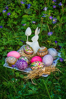 easter, easter egg, easter nest, egg, easter eggs, easter greeting, easter theme, plant, celebration, grass, food, nature, green color, holiday, food and drink, religion, no people, art and craft, holiday - event, high angle view, decoration, belief, springtime, outdoors, purple, 2K, CC0, public domain, royalty free