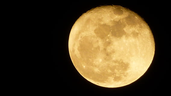 maan, zomernacht, zomer, nacht, astronomie, majestueus, schoonheid in de natuur, maan oppervlak, hemel, ruimte, volle maan, kalmte, planetaire maan, geen mensen, natuur, geometrische vorm, cirkel, scenics - natuur, rustige scène, geel, vorm, kopie ruimte, buitenshuis, donker, zwarte achtergrond, maanlicht, ruimte en astronomie, 4K, CC0, publiek domein, royaltyvrij
