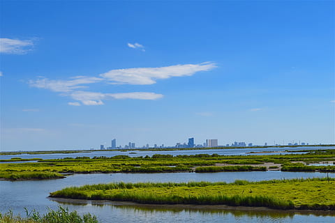 marshland, estuary, water, grass, sunny, nature, marsh, green, landscape, coast, sky, wetland, rural, bay, sea, ocean, outdoor, wilderness, pastoral, bog, city, skyline, cloud - sky, blue, plant, scenics - nature, day, architecture, no people, environment, reflection, urban skyline, tranquility, lake, built structure, outdoors, skyscraper, cityscape, office building exterior, 4K, CC0, public domain, royalty free