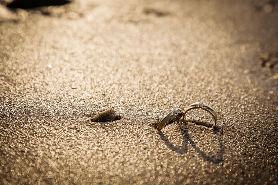 sølvfarvede parringe, grå, jord, kobling, ring, kærlighed, strand, sand, sandet, ingen mennesker, dyr i naturen, selektiv fokusering, dag, dyre temaer, et dyr, udendørs, dyreliv, dyr, natur, tæt på, sollys, Brun, vand, hvirvelløse, vielsesring, bryllup, 5K