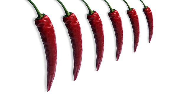 pieprz, czerwony pieprz, papryczka chilli, ostry, czerwony, Azja, strąki, jedzenie, ognisty, nachtschattengewächs, kapsaicyna, zdrowy, papryka, na południowy wschód, gorąco, pepperoni, białe tło, jedzenie i picie, papryczka chili, studio strzał, czerwona papryka chili, odetnij, przyprawa, warzywo, świeżość, grupa obiektów, wewnątrz, z rzędu, żadnych ludzi, zbliżenie, składnik, zdrowe odżywianie, martwa natura, mała grupa obiektów, 1080P, CC0, domena publiczna, darmowe zdjęcia