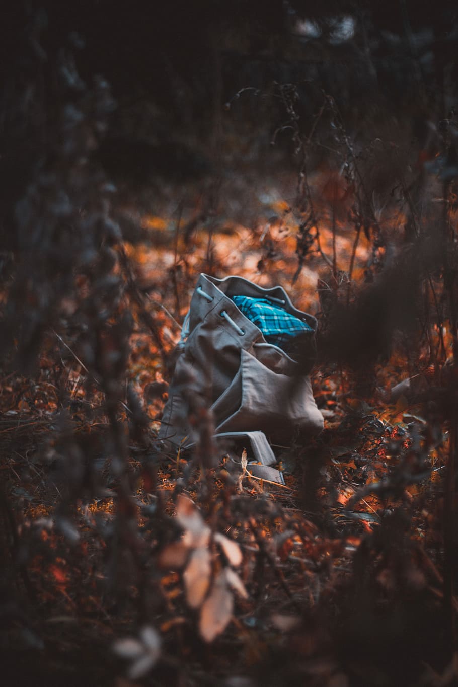 šedá, pytel kbelíku, obklopen, suší se, rostlin, béžový, střední, Ach, tráva, Taška, les, list, oranžový, modrý, přistát, strom, selektivní zaměření, rostlinné části, Příroda, rostlina, pole, podzim, den, suchý, venku, jedna osoba, životního stylu, skutečných lidí, ženy, hospodářství, změna, listy, 5K