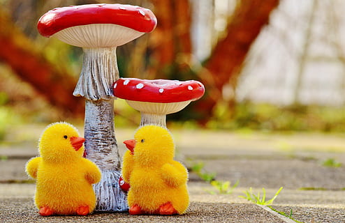 kyllinger, påske, svampe, fly agaric, nuttet, figur, påske tema, sød, dekoration, forår, gul, fokus på forgrunden, champignon, mad, dyr, repræsentation, svamp, fugl, ingen mennesker, natur, dyr repræsentation, legetøj, grøntsag, dyre temaer, dag, tæt på, ung fugl, udendørs, kreativitet, baby kylling, lille, 5K, CC0, offentligt domæne, royaltyfrie
