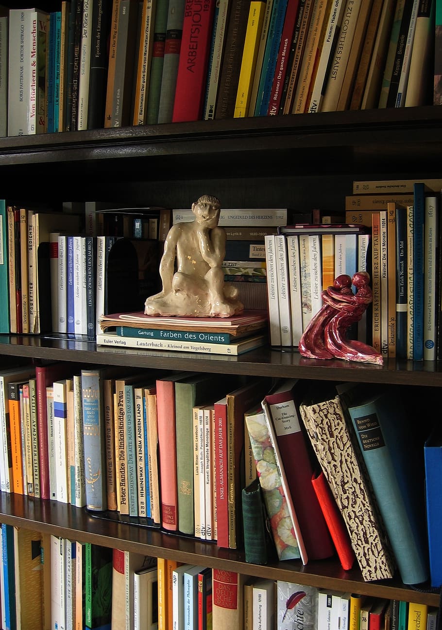 estàtua, plàstic, pensar, pensador, llibre, llibres, prestatge per a llibres, llegir, literatura, prestatge, publicació, educació, elecció, variació, gran grup d'objectes, arranjament, a l'interior, biblioteca, cap gent, abundància, natura morta, aprenentatge, art i artesania, ordre, en fila, col · lecció, 1080P