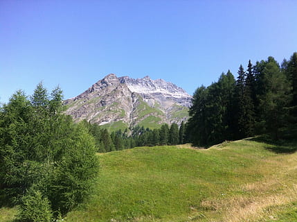Engadin, kök ucu, alp, dağ, doğa, peyzaj, scenics, açık havada, yaz, ağaç, bitki, manzaralar - doğa, doğada güzellik, gökyüzü, huzur, sakin sahne, arazi, çimen, yeşil renk, büyüme, çevre, insansız, kentsel olmayan sahne, açık hava, gün, alan, iğne yapraklı ağaç, dağ zirvesi, çam ağacı, Karla kaplı dağ, çam ormanları, 1080P, CC0, kamu malı, telif ücretsiz
