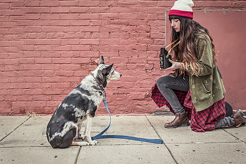 woman, green, jacket, front, dog, wall, woman in green, green jacket, animals, people, whimsical, lazy, retro, vintage, lady, picture, photographer, posing, cute, adorable, silly, funny, goofy, pets, outdoors, animal, one Person, street, sitting, women, friendship, urban Scene, one animal, adult, domestic, domestic animals, mammal, canine, full length, females, casual clothing, day, 5K, CC0, public domain, royalty free