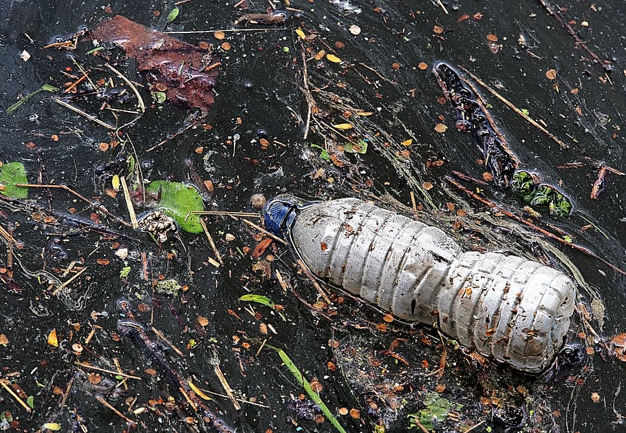 clar, plàstic, embotellat, aigua, ampolla, malbaratament, Pol · lució, escombraries, ulleres, descartat, reciclar, problema, flotsam, flotar, flotant, medi ambient, ambiental, eco, degradé, degradable, biodegradable, mar, riu, rierol, beure, begudes, contenidor, envasos, contaminació, contaminar, sostenibilitat, insostenible, ecosistema, irresponsable, irreflexiu, consum, embolic, dia, abandonat, vista d’angle alt, cap gent, espatllat, naturalesa, material de fusta, a l'aire lliure, qüestions ambientals, metall, deteriorament, declivi, terra, camp, obsoleta, brutícia, aixafar, desordenat, 4K