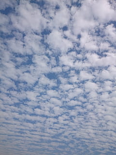 overskyet himmel, skyerne, himmel, sky - himmel, skønhed i naturen, lav vinkel visning, ro, fuld ramme, natur, rolig scene, scenics - natur, baggrunde, ingen mennesker, hvid farve, dag, blå, idyllisk, cloudscape, udendørs, miljø, meteorologi, 5K, CC0, offentligt domæne, royaltyfrie