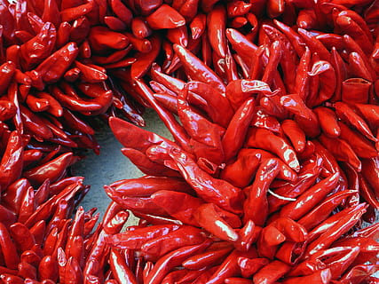 rød chili mye, tørket, varmt, Chilli Pepper, rød, chili, pepper, grønnsaker, anlegg, krydret, mat, chili pepper, krydder, grønnsak, organisk, friskhet, varme - temperatur, pepper - grønnsak, nærbilde, spise sunt, bakgrunn, ingrediens, moden, natur, rå mat, heap, paprika, mat og Drikke, ingen folk, overflod, sjømat, stor gruppe gjenstander, rød chili pepper, full ramme, marked, stilleben, velvære, høy vinkel visning, til salgs, detaljhandel, 720P, CC0, offentlig domene, opphavsrett gratis
