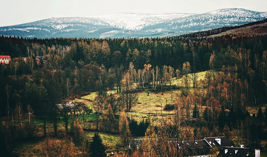 panoramico, natura, montagna, albero, viaggio, paesaggio, alla corte di, turismo, vista, montagne, pista, vista dall'alto, la bellezza delle montagne, vacanza, vista spettacolare, una vista sulle montagne, giro, cime, cresta, pace della mente, spedizione, stagioni dell'anno, l'altezza del, in montagna, scenario, sentiero d'escursionismo, Polonia, sentieri, escursioni a piedi, footer, krkonoše montagne giganti, sulla pista, escursioni in montagna, il sentiero, la neve, inverno, la prospettiva di, paesaggio invernale, la valle del, edifici, pianta, scenics - natura, bellezza nella natura, scena tranquilla, foresta, la tranquillità, nessuno, terra, crescita, acqua, scena non urbana, ambiente, giorno, cielo, idilliaco, Pino, albero di conifere, bosco di pini, 4K