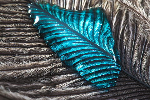 strauss spring, gocciolare, piuma, vicino, macro, sfondo, goccia d'acqua, struttura, piuma d'uccello, liquido, blu, avvicinamento, piuma di pavone, modello, nessuno, pavone, morbidezza, sfondi, uccello, fotogramma intero, animale, modello naturale, colore verde, color turchese, temi animali, giorno, multicolore, natura morta, vista dall'alto, 4K, CC0, dominio pubblico, privo di copyright