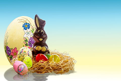 brown, rabbit, easter eggs, easter, egg, easter bunny, easter egg, nest, easter nest, easter theme, easter greeting, greeting card, decoration, easter egg painting, customs, happy easter, colored egg, painted egg, chocolate, chocolate bunny, surprise, joy, give, easter decor, colored, celebration, copy space, no people, holiday, gold colored, still life, studio shot, indoors, multi colored, wealth, animal egg, art and craft, colored background, animal, floral pattern, 2K, CC0, public domain, royalty free
