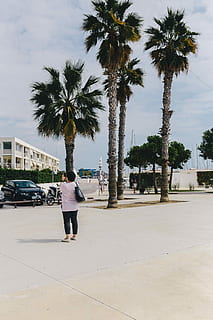 port ginesta harbor, Port, Ginesta, harbor, Barcelona, Catalonia, Spain, coast, sea, boat, luxury, travel, mediterranean, marina, yachts, Balearic Sea, palm Tree, people, outdoors, editorial, tree, rear view, full length, tropical climate, walking, plant, real people, lifestyles, sky, nature, one person, leisure activity, architecture, day, city, building exterior, built structure, growth, women, coconut palm tree, tropical tree, 5K
