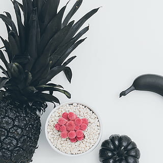 black, pineapple, bowl, oats, squash, pumpkin, fruit, vegetable, flower, pot, food, white background, studio shot, healthcare and medicine, indoors, red, no people, healthy eating, beauty, plant, freshness, food and drink, still life, wellbeing, nature, table, plant part, leaf, close-up, beauty in nature, directly above, high angle view, 2K, CC0, public domain, royalty free