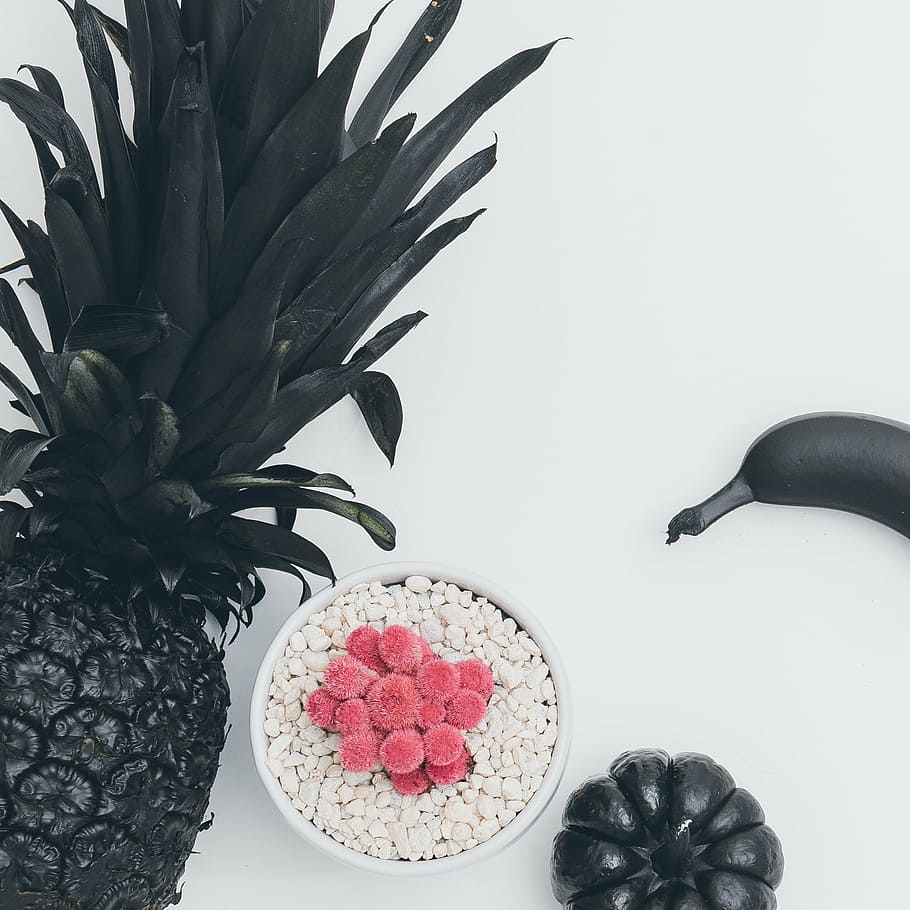negre, pinya, bol, civada, Carabasseta, carbassa, fruita, vegetals, flor, olla, menjar, fons blanc, tir de l'estudi, salut i medicina, a l'interior, vermell, cap gent, alimentació saludable, bellesa, planta, frescor, menjar i beguda, natura morta, benestar, naturalesa, taula, part de la planta, full, primer pla, bellesa a la natura, directament a sobre, vista d’angle alt, 2K