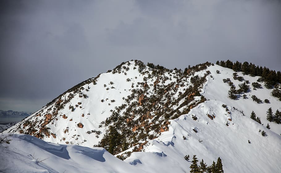 neu, cobert, muntanya, durant el dia, hivern, blanc, fred, temps, gel, arbres, plantes, naturalesa, viatjar, aventura, caminada, escalar, trek, núvols, cel, temperatura de fred, a l'aire lliure, cap gent, dia, nevar, paisatge, bellesa a la natura, escenics - natura, muntanya nevada, medi ambient, núvol - cel, arbre, escena no urbana, esport, Color blanc, tranquil·litat, Serra, planta, pi, cim de muntanya, arbre de coníferes, bosc, bosc de pi, 8K