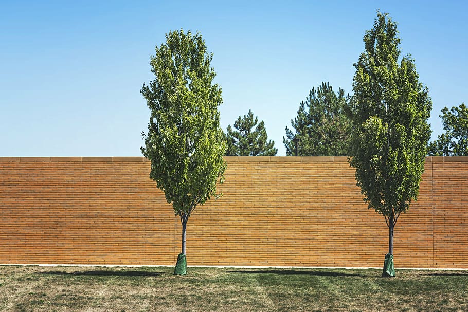dos, verd, arbres, al costat, concret, paret, durant el dia, full, dia, temps, herba, maó, blau, cel, arbre, agricultura, cel clar, escena rural, cap gent, a l'aire lliure, naturalesa, planta, creixement, llum solar, arquitectura, color verd, estructura construïda, camp, tranquil·litat, funció de construcció de parets, casa, ombra, bellesa a la natura, arbre de coníferes, 5K