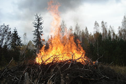 vida salvatge, flama, koster, foc - fenomen natural, cremant, calor - temperatura, naturalesa, infern, vermell, foguera, fum - estructura física, a l'aire lliure, foc, arbre, bosc, terra, incendi forestal, planta, qüestions ambientals, danys ambientals, medi ambient, cap gent, desforestació, destrucció, cel, fusta, Pol · lució, contaminació de l'aire, ecosistema, 2K, CC0, domini públic, lliure de regalies