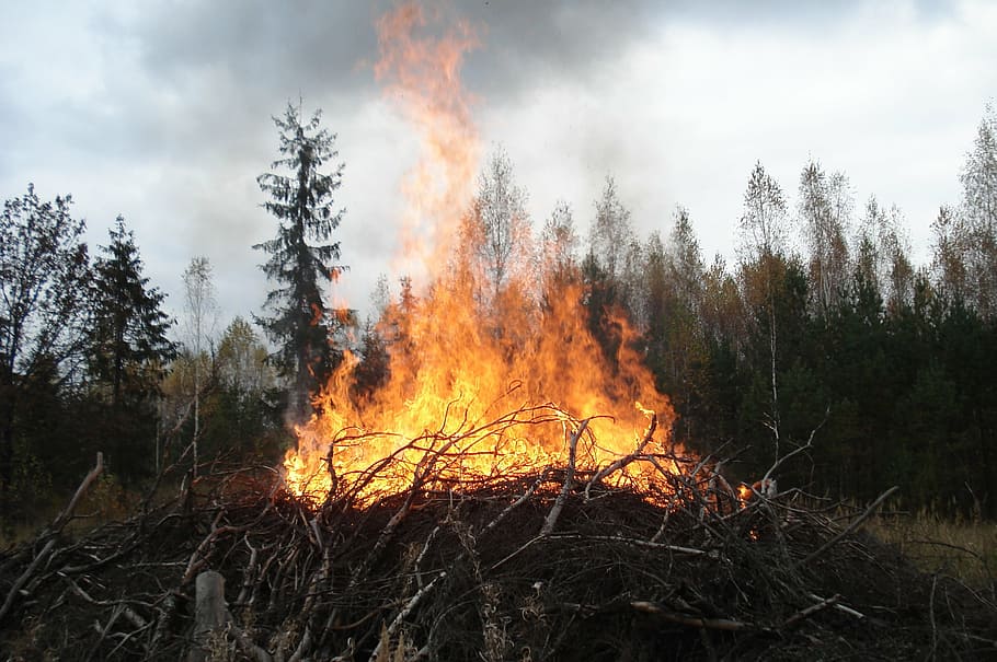 vida salvatge, flama, koster, foc - fenomen natural, cremant, calor - temperatura, naturalesa, infern, vermell, foguera, fum - estructura física, a l'aire lliure, foc, arbre, bosc, terra, incendi forestal, planta, qüestions ambientals, danys ambientals, medi ambient, cap gent, desforestació, destrucció, cel, fusta, Pol · lució, contaminació de l'aire, ecosistema, 2K