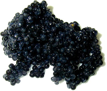 ikrai, balta, paviršius, neršti, trukdžių, prabanga, juodas Auksas, virėjas, maisto, valgyti, vaisiai, šviežumas, subrendęs, Vynuogė, sveika mityba, ekologiškas, Iš arti, izoliuotas, Maistas ir gėrimai, baltas fonas, uogų vaisiai, studija, juoda spalva, nėra žmonių, patalpose, gerovę, natiurmortas, papuošalai, gervuogių vaisiai, gervuogių, didelė objektų grupė, karoliukas, asmeninis priedas, brangus perlas, 720P, CC0, Viešasis domenas, nemokamai