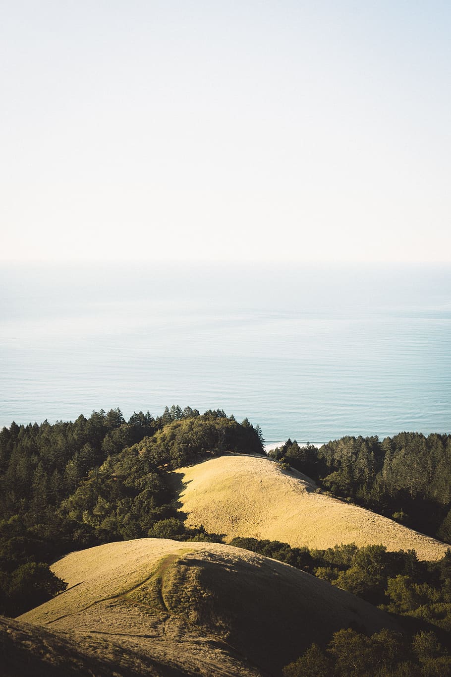 Antenne, Fotografie ansehen, braun, Berg, umgeben, Karosserie, Wasser, Bäume, Weiß, Himmel, Licht, Hügel, Wald, Meer, Ozean, Natur, szenen, Landschaft, Küste, draußen, keine Leute, Strand, Blau, Horizont über Wasser, ruhige Szene, Schönheit in der Natur, Szenen - Natur, Ruhe, kopieren sie platz, Land, Pflanze, Horizont, Tag, klarer Himmel, Baum, Nicht-städtische Szene, 5K
